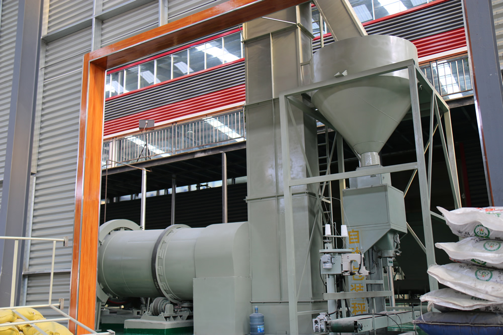 Installation and commissioning of automatic packaging machines for Filipino clients